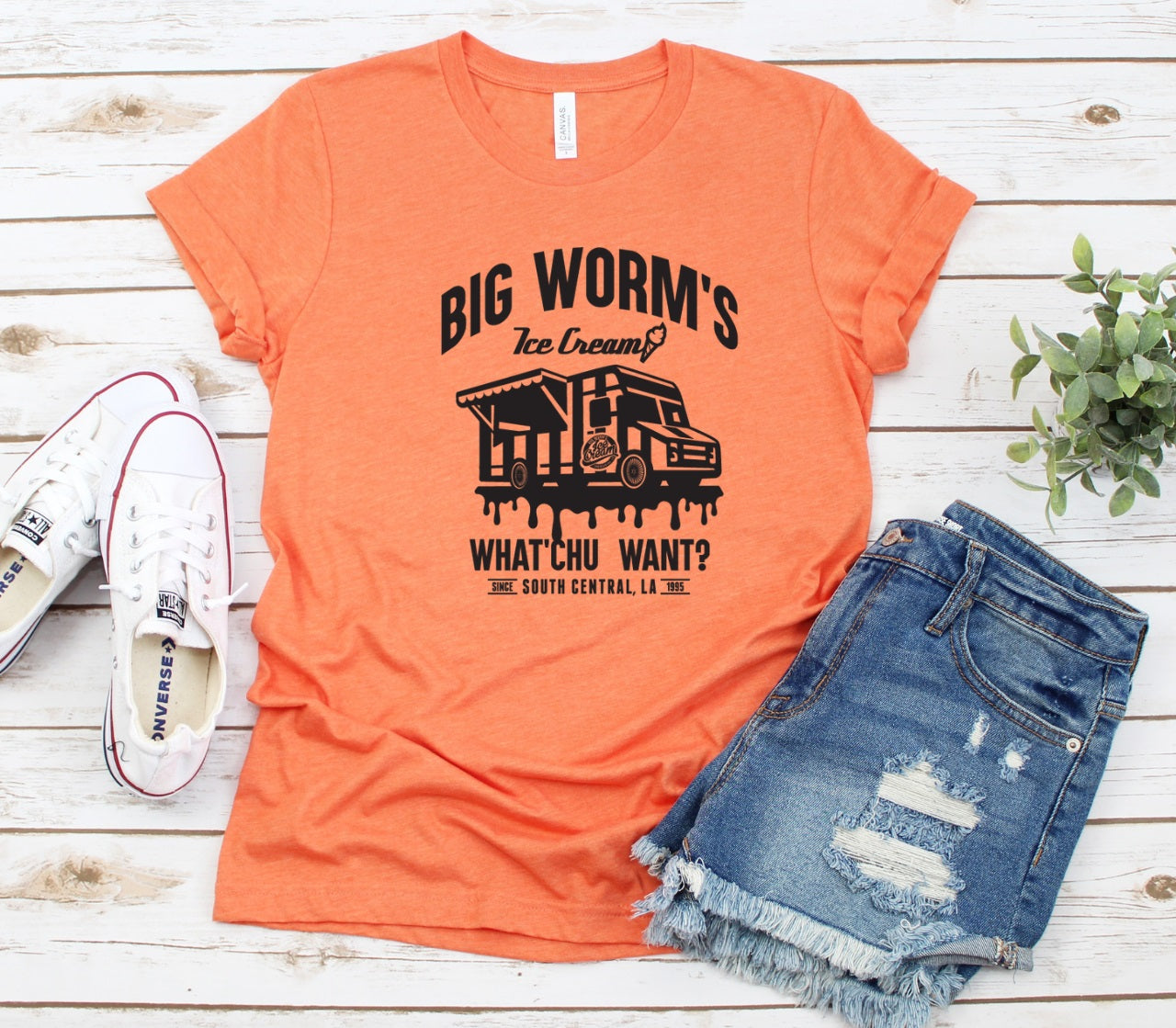 Big Worm's-MANY COLORS