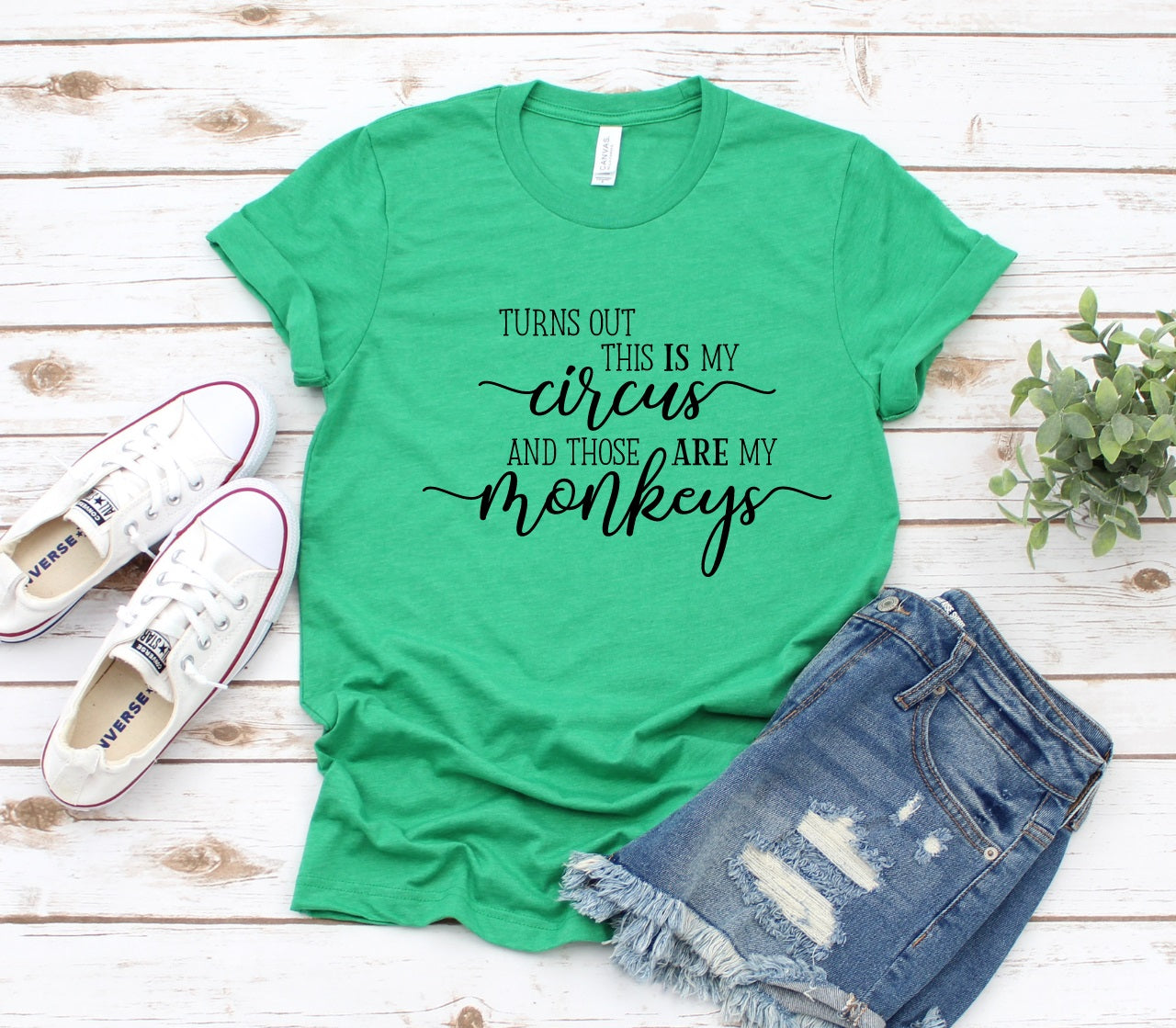 My Circus-MANY COLORS