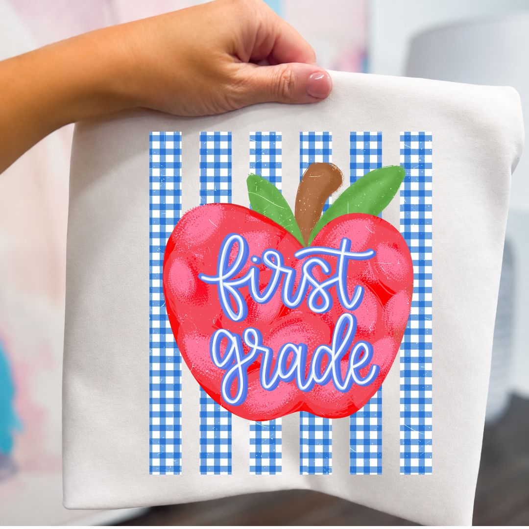 GRADE LEVEL- Blue Gingham Apple- LEAVE GRADE IN NOTES!