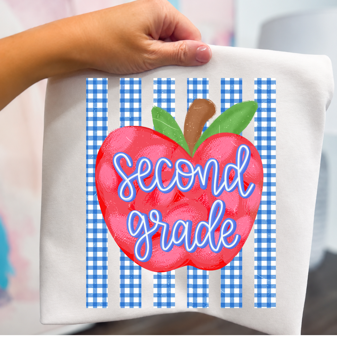 GRADE LEVEL- Blue Gingham Apple- LEAVE GRADE IN NOTES!