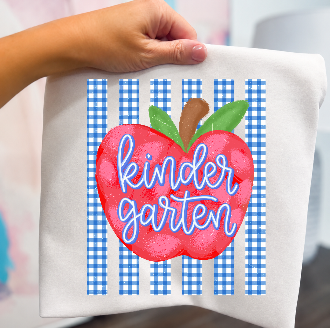 GRADE LEVEL- Blue Gingham Apple- LEAVE GRADE IN NOTES!