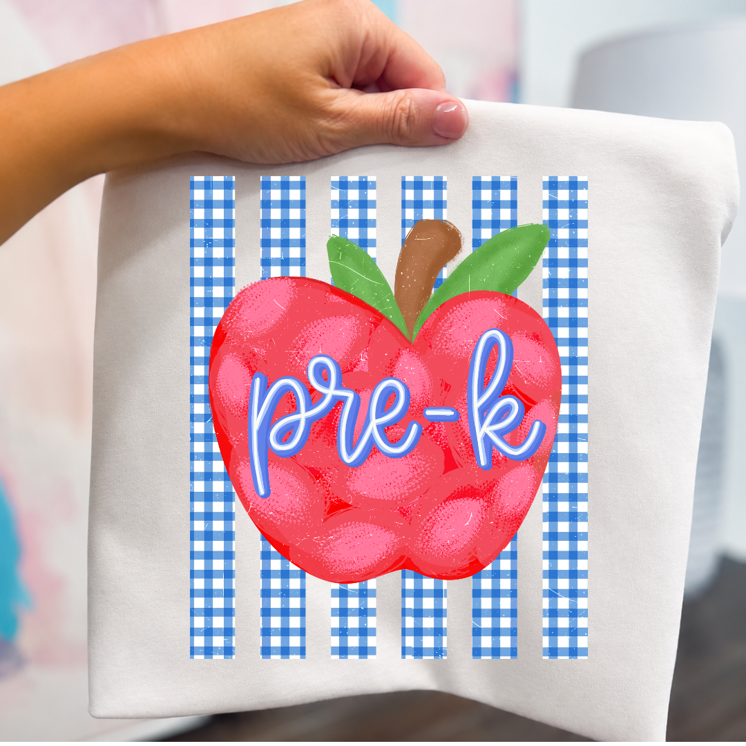 GRADE LEVEL- Blue Gingham Apple- LEAVE GRADE IN NOTES!